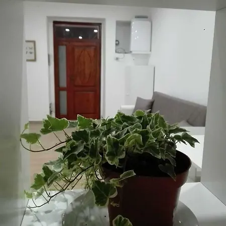 Al Centro Di Lejlighed *