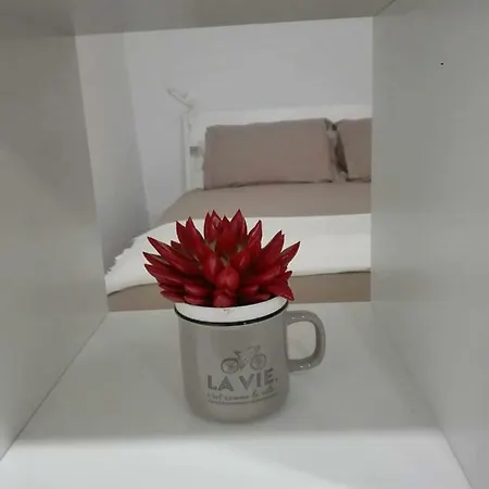 Al Centro Di *